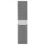 Смарт-часы Apple Watch S2 38mm St.St/SilvMilanese Loop (MNP62RU/A)